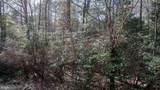  Iberis - Photo 17