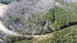  Iberis - Photo 4