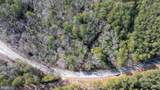  Iberis - Photo 5