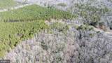  Iberis - Photo 6