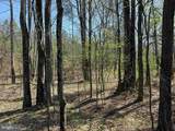 Dabney House Rd.-(Tract: Pittsylvania Compton-2) - Photo 12