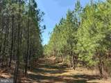  Dabney House Rd.-(Tract: Pittsylvania Compton-2) - Photo 2