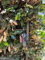 1929 1ST Street - Photo 22