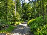 22015 Wildcat Road - Photo 21