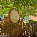 10029 Mosby Woods Drive - Photo 11