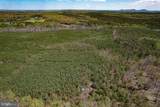 116.32 Acres Gilliam Mill Road - Photo 48