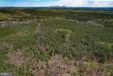 116.32 Acres Gilliam Mill Road - Photo 49