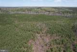 116.32 Acres Gilliam Mill Road - Photo 50