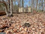 116.32 Acres Gilliam Mill Road - Photo 53