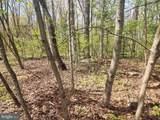 733 Dogwood Drive - Photo 4