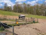 258 Lovely Road - Photo 50