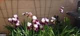 500 Luzerne Avenue - Photo 42