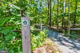 11 Burr Hill Drive - Photo 63