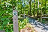 25 Seabreeze Road - Photo 49