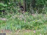 11495 A Maryland Point Road - Photo 8