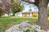 31103 Vines Creek Road - Photo 41