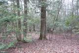 0 Trunk Road - Photo 9