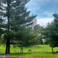 4268 Copenhaver Lane - Photo 8