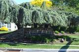 1603 Society Place - Photo 4