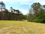 Lot 1 Crested Mountain Lane - Photo 15