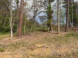 Lot 1 Crested Mountain Lane - Photo 17