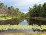 Lot 1 Crested Mountain Lane - Photo 3