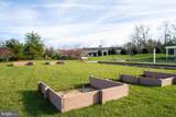 30957 Rock Dove Court - Photo 91