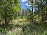  Brantley Moore Turnpike (Tract Azalea Comp 17) - Photo 11