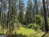  Brantley Moore Turnpike (Tract Azalea Comp 17) - Photo 14