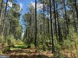  Brantley Moore Turnpike (Tract Azalea Comp 17) - Photo 15
