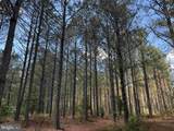  Brantley Moore Turnpike (Tract Azalea Comp 17) - Photo 18