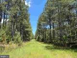 Brantley Moore Turnpike (Tract Azalea Comp 17) - Photo 2