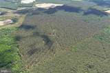  Brantley Moore Turnpike (Tract Azalea Comp 17) - Photo 5
