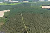  Brantley Moore Turnpike (Tract Azalea Comp 17) - Photo 6