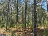  Brantley Moore Turnpike (Tract Azalea Comp 17) - Photo 8