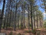  Brantley Moore Turnpike (Tract Azalea Comp 17) - Photo 9