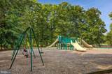 36153 Wilderness Shores Way - Photo 35