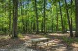 36153 Wilderness Shores Way - Photo 40