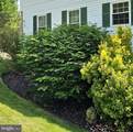 15110 Catalpa Court - Photo 12