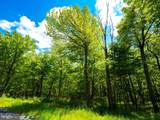 Lot 181 Rockwood Trail - Photo 4