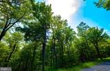 Lot 181 Rockwood Trail - Photo 5