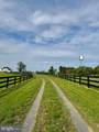 19255 Telegraph Springs Road - Photo 48