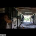 19255 Telegraph Springs Road - Photo 56