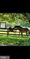 19255 Telegraph Springs Road - Photo 90