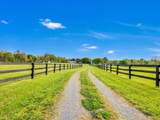 19255 Telegraph Springs Road - Photo 99