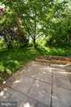 421 Green Fern Circle - Photo 23