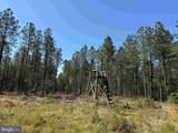  Laurel Drive (Tract: Surry Seward-Scott) - Photo 10