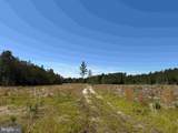  Laurel Drive (Tract: Surry Seward-Scott) - Photo 14