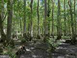  Laurel Drive (Tract: Surry Seward-Scott) - Photo 21