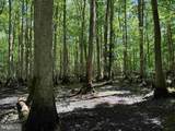  Laurel Drive (Tract: Surry Seward-Scott) - Photo 22